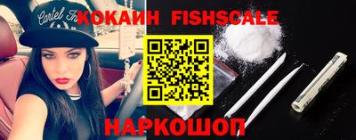 стафф Гусев
