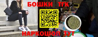 стафф Гусев