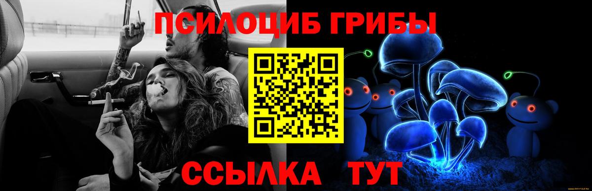 Галлюциногенные грибы прущие грибы  Вход с VPN  Магнитогорск  Галлюциногенные грибы Psilocybe 